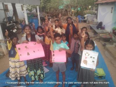 SEASON OF CREATION ( Learning about regional FLORA & FAUNA ) Activities in all the Evening Study Centres 