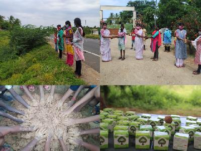 CELEBRATING STEWARDSHIP OF CREATION