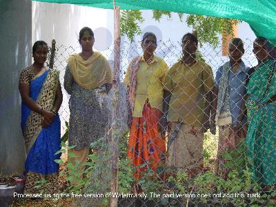ASSIST Setting-Up Household Herbal Garden in devarayaneri village at trichy